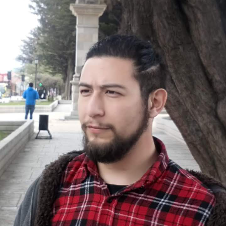 Luis Alejandro Salas Huerta